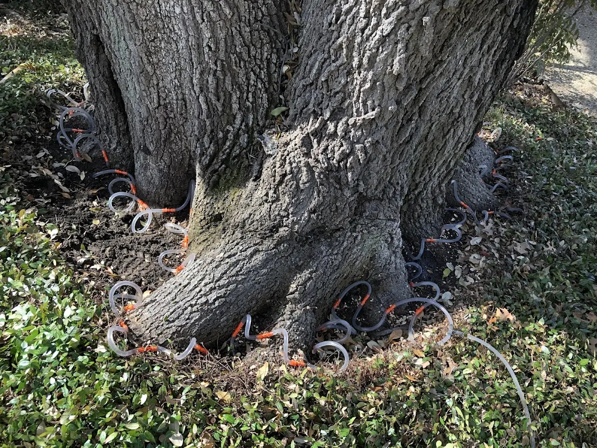 Detailed Shrub and Hedge Trimming job site in Watts