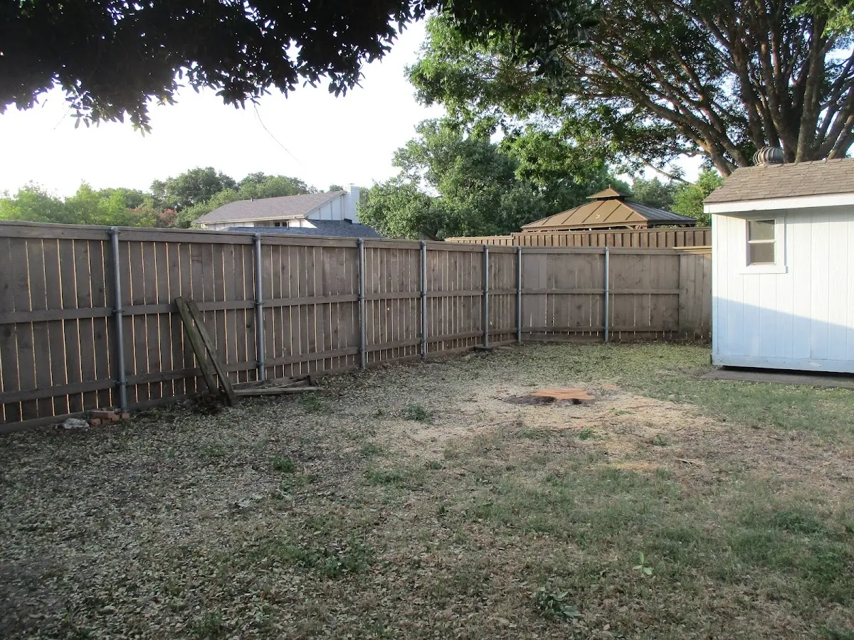 Cleared yard after professional tree removal in Watts